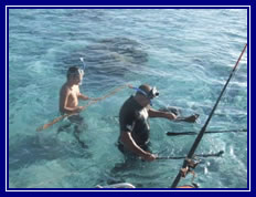 Spear Fishing